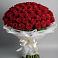 Букет 101 Красная роза Блэк Мэджик в Шведино