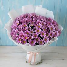 Букет цветов из:  Хризантемы в Шведино