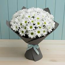 Букет цветов из:  Хризантемы в Шведино