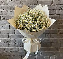 Букет цветов из:  Ромашки #REPLACE_PRED# Шведино