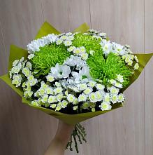 Букет цветов из:  Хризантемы #REPLACE_PRED# Шведино